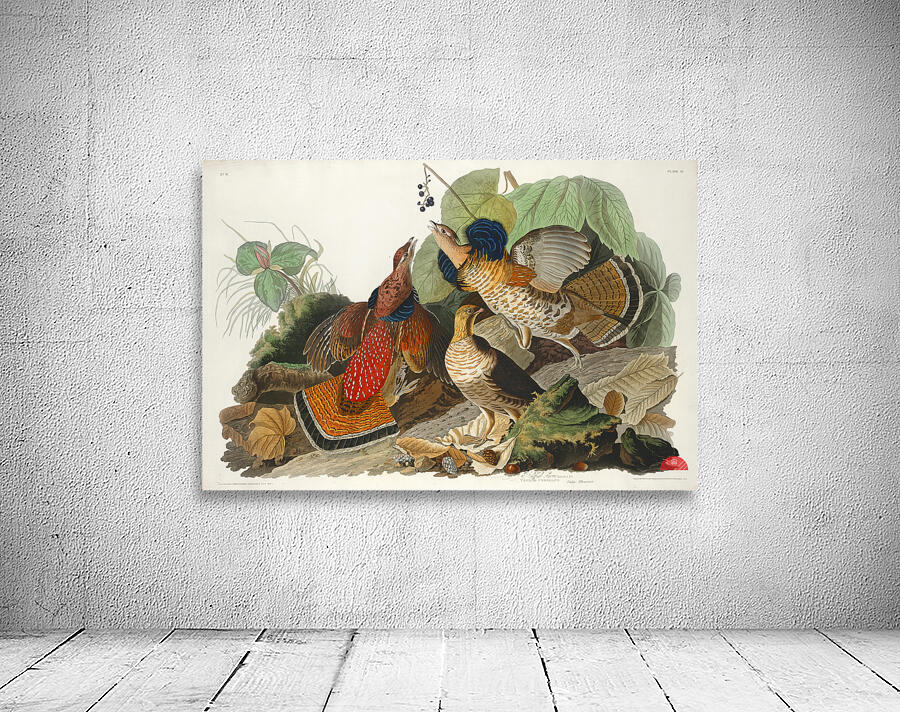 Ruffed Grouse Wall Preview