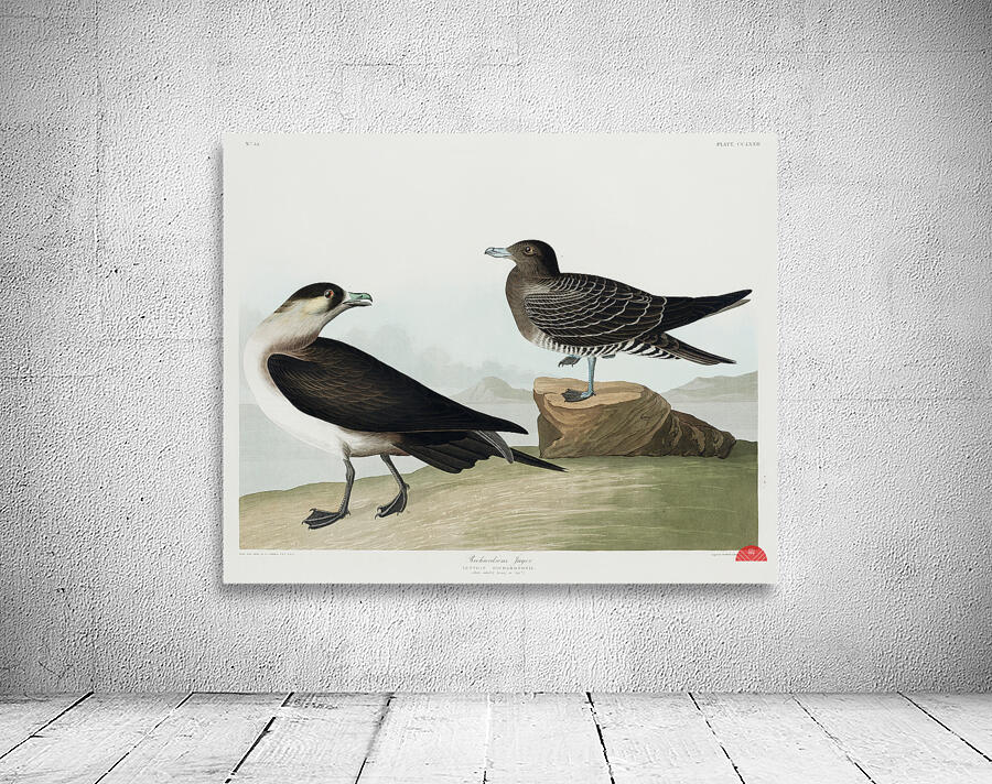 Richardsons Jager Wall Preview