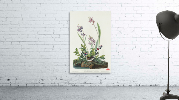 Field Sparrow Wall Preview