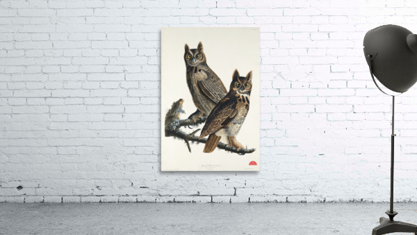 Great Horned Owl Wall Preview