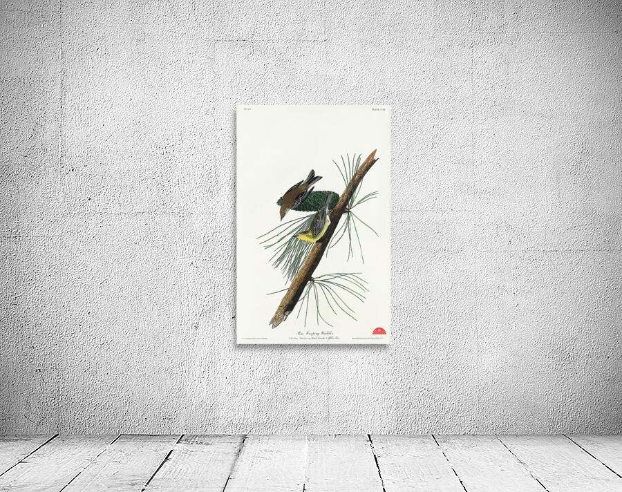 Pine Creeping Warbler Wall Preview