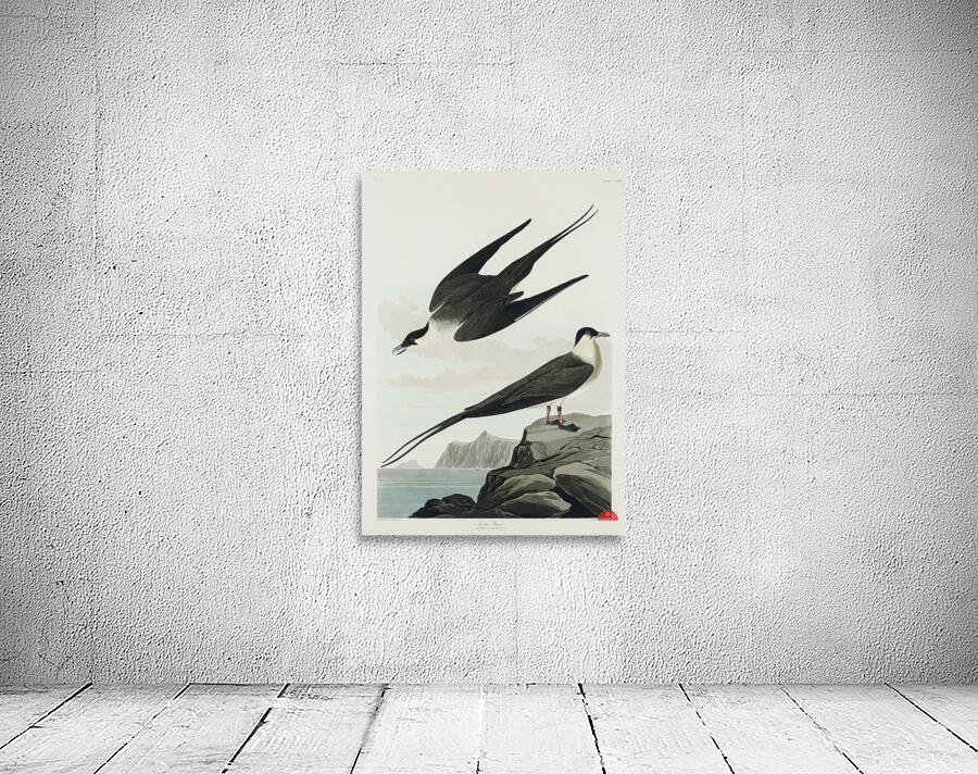 Arctic Yager Wall Preview