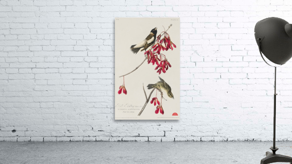 Rice Bird Wall Preview