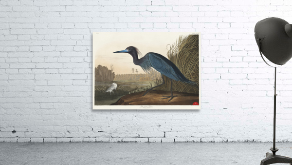 Blue Crane or Heron Wall Preview