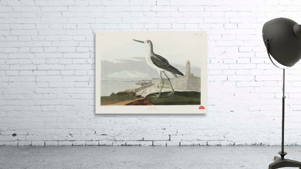 Greenshank Wall Preview