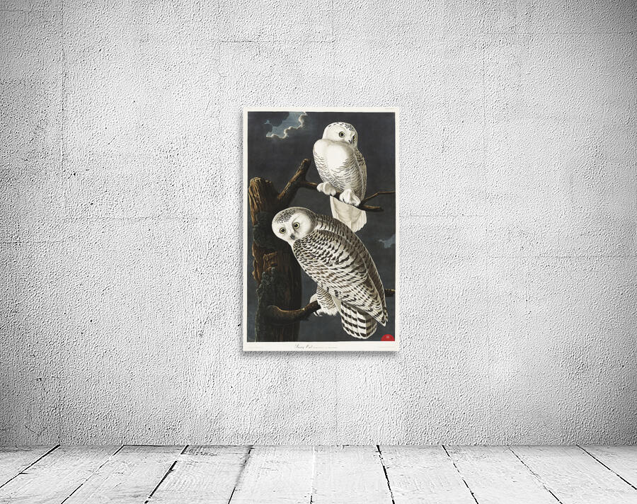 Snowy Owl Wall Preview