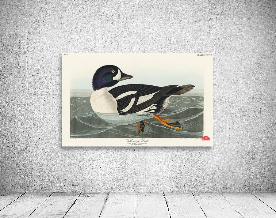 Henslows Bunting Wall Preview