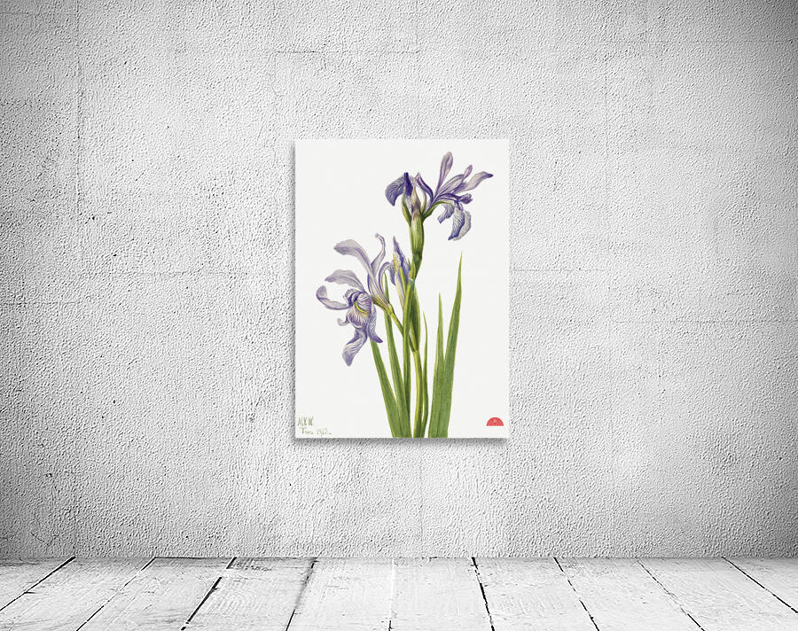 On the Road to Monument 1881 Wall Preview