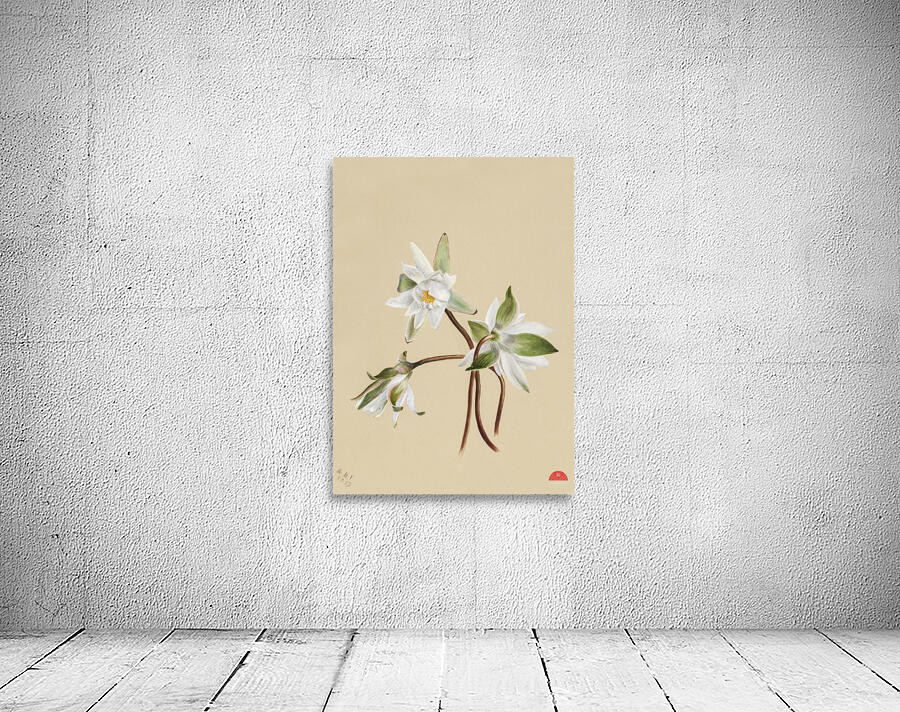 Water Lilies Castalia odorata 1879 Wall Preview