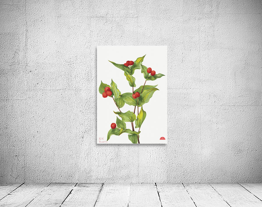 Fairy–bells Disporum hookeri 1933 Wall Preview