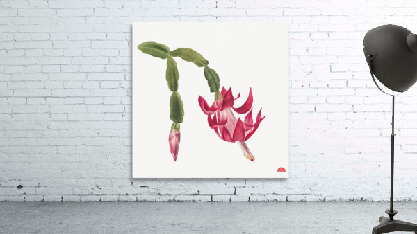 Flower Study 1878 Wall Preview