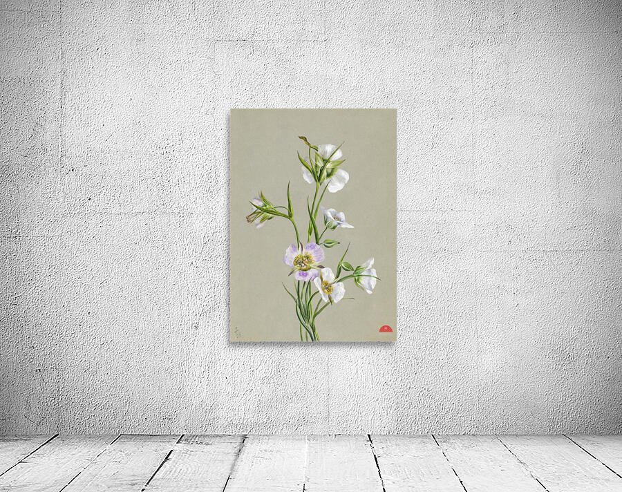 On the Road to Monument 1881 Wall Preview