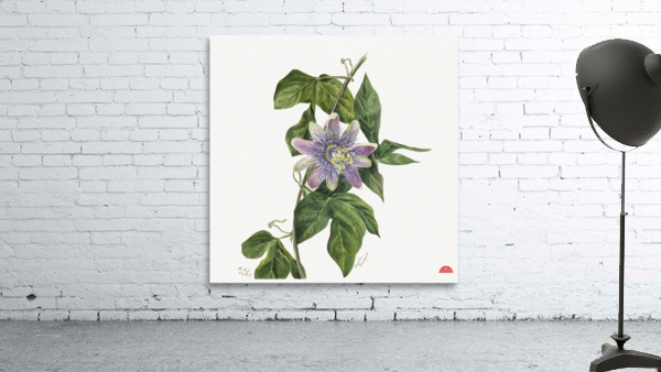 Flower Study 1879 Wall Preview