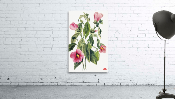 Rose Gentian Sabbatia angularis 1880  Wall Preview