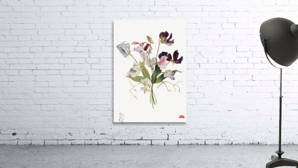 Flower Study 1886 Wall Preview