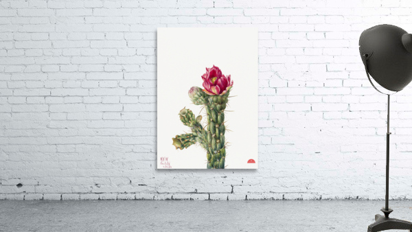 Walkingstick Cholla Opuntia imbricata 1934 Wall Preview