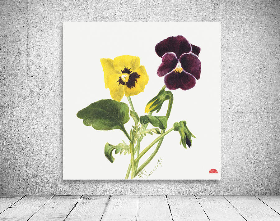 Pansies 1875 Wall Preview