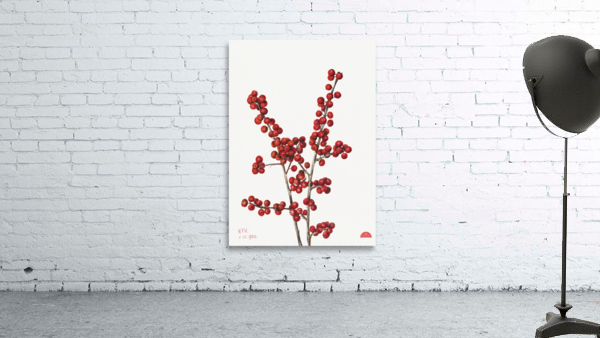 Winterberry Ilex verticillata 1920 Wall Preview