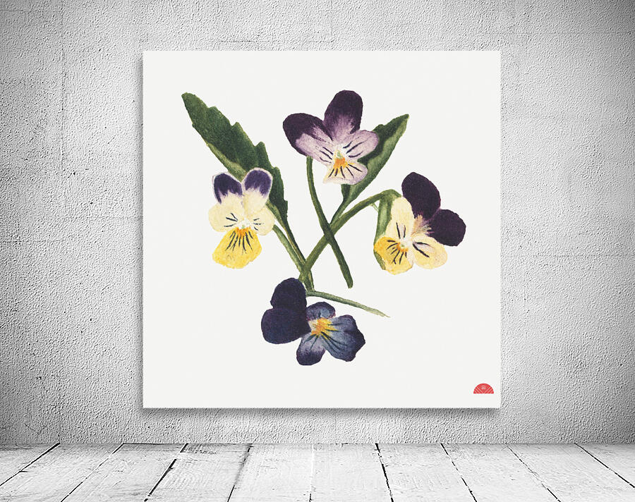 Pansies 1876 Wall Preview
