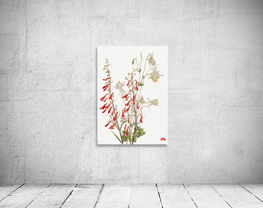 Flower Study 1883–1900 Wall Preview