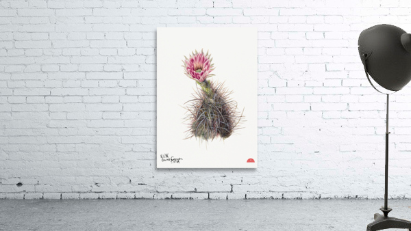 Cucumber cactus 1939 Wall Preview