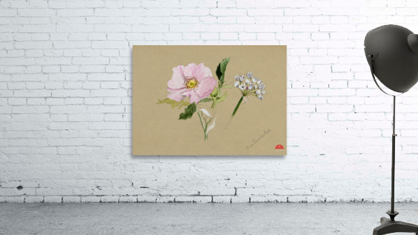 Flower Study 1876–1878 Wall Preview