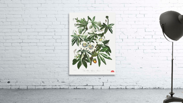 Cupid Inspiring Plants with Love Wall Preview