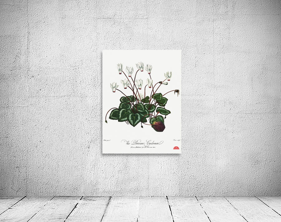 The Narrow–Leaved Kalmia Wall Preview