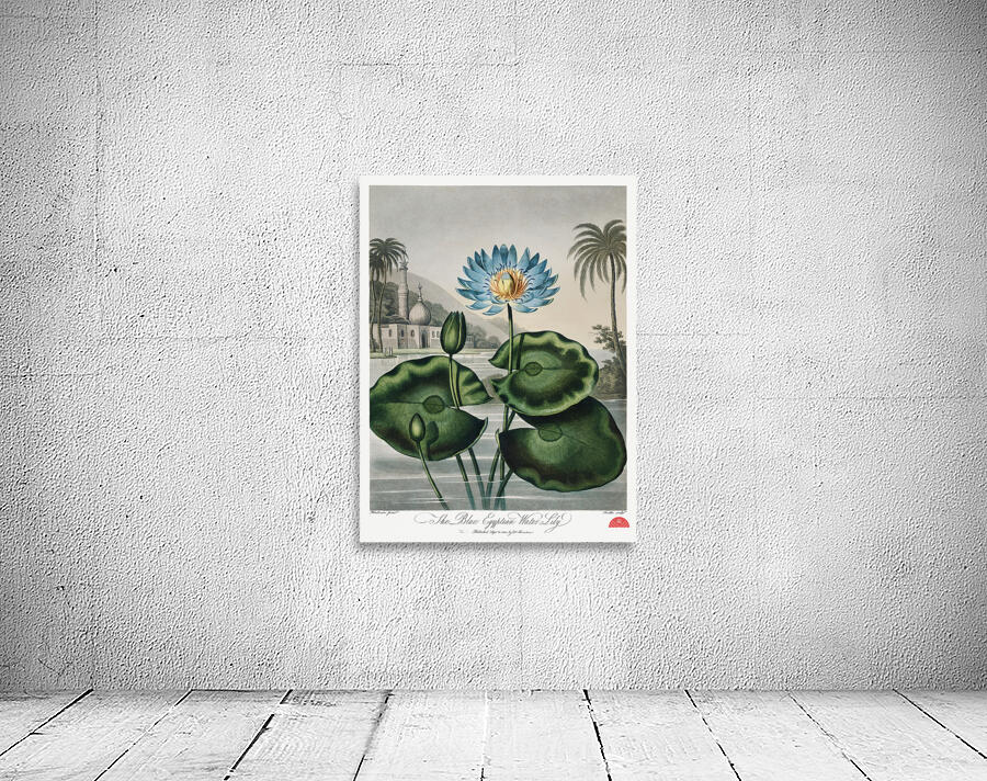 The Blue Egyptian Water-Lily Wall Preview