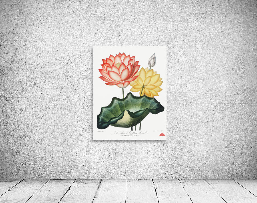 The Sacred Egyptian Bean Wall Preview