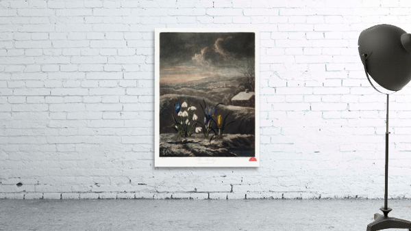 The Snowdrops Wall Preview