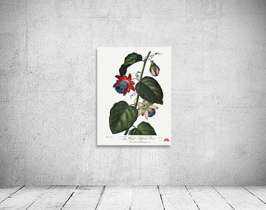 The Winged Passion-Flower Wall Preview