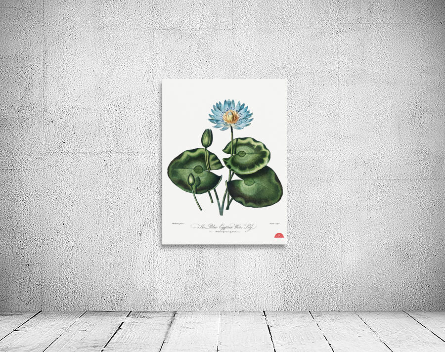 The Blue Egyptian Water-Lily Wall Preview