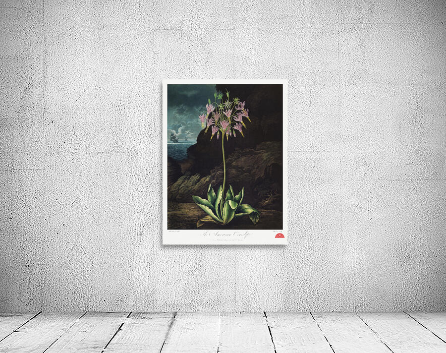 The American Cowslip Wall Preview