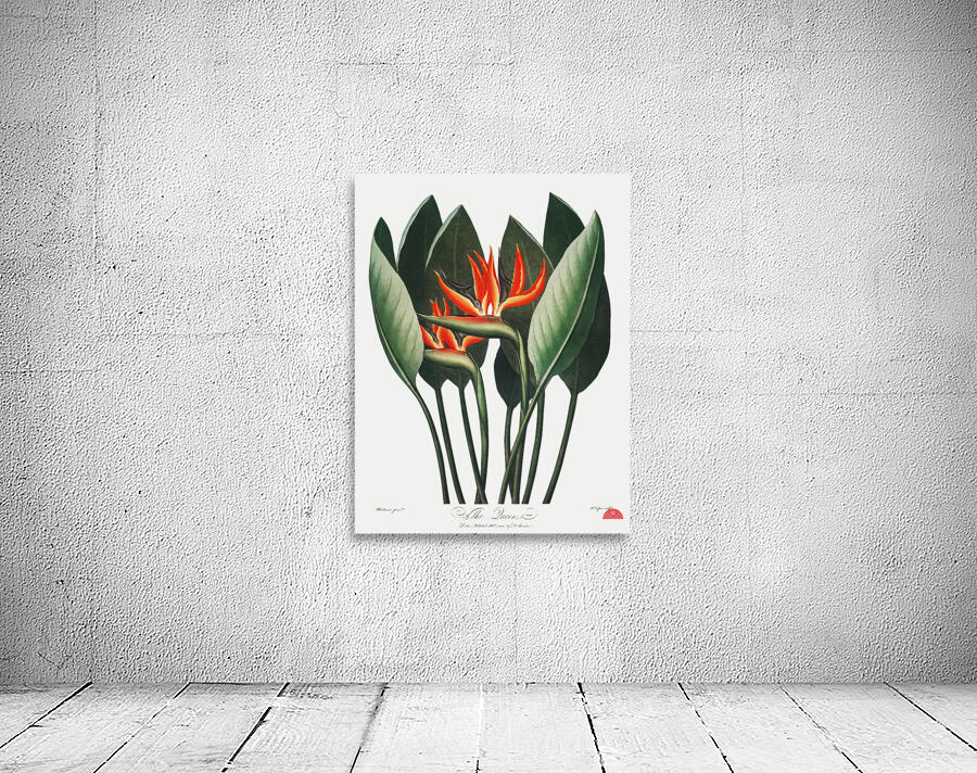 The Queen Plant Wall Preview