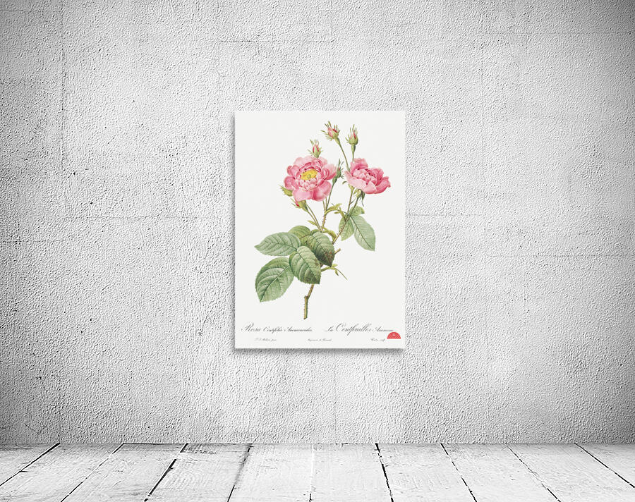 Vintage pink rose Wall Preview