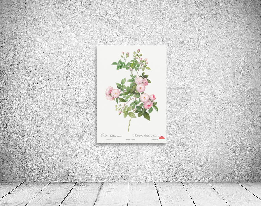 Pink baby roses Wall Preview