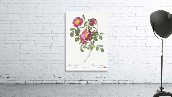 Rose of love in bloom Wall Preview