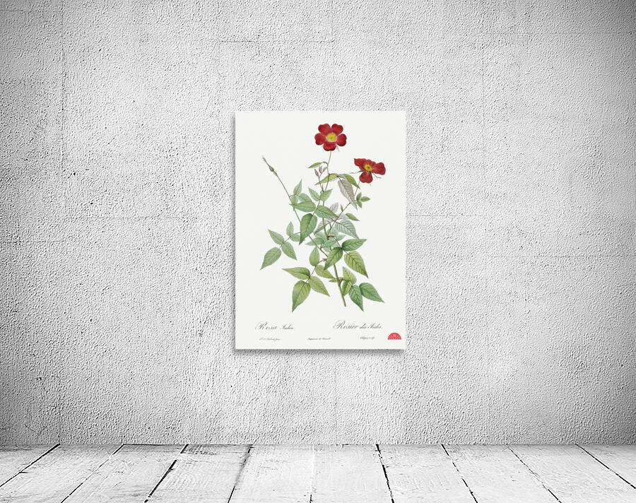 Blooming red rosebush Wall Preview