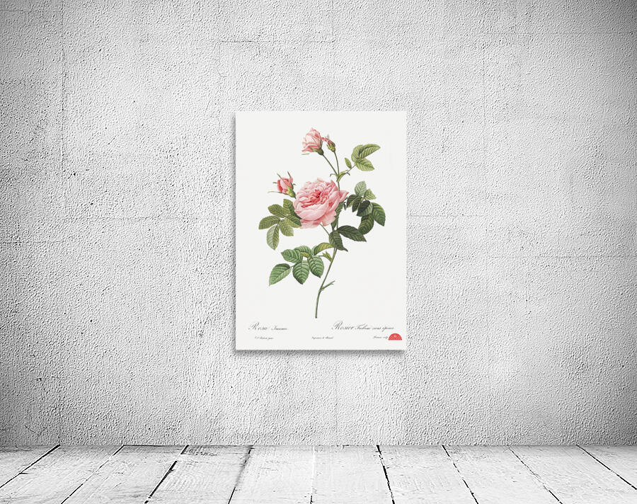 Pink rose turbine Wall Preview