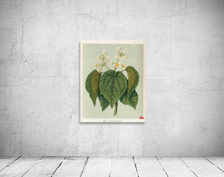 Sarah Featon 035 Wall Preview