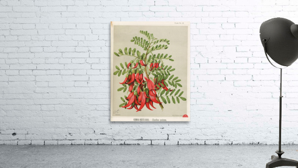 Sarah Featon 022 Wall Preview