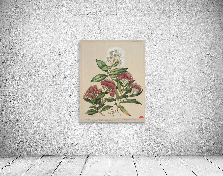 Sarah Featon 015 Wall Preview