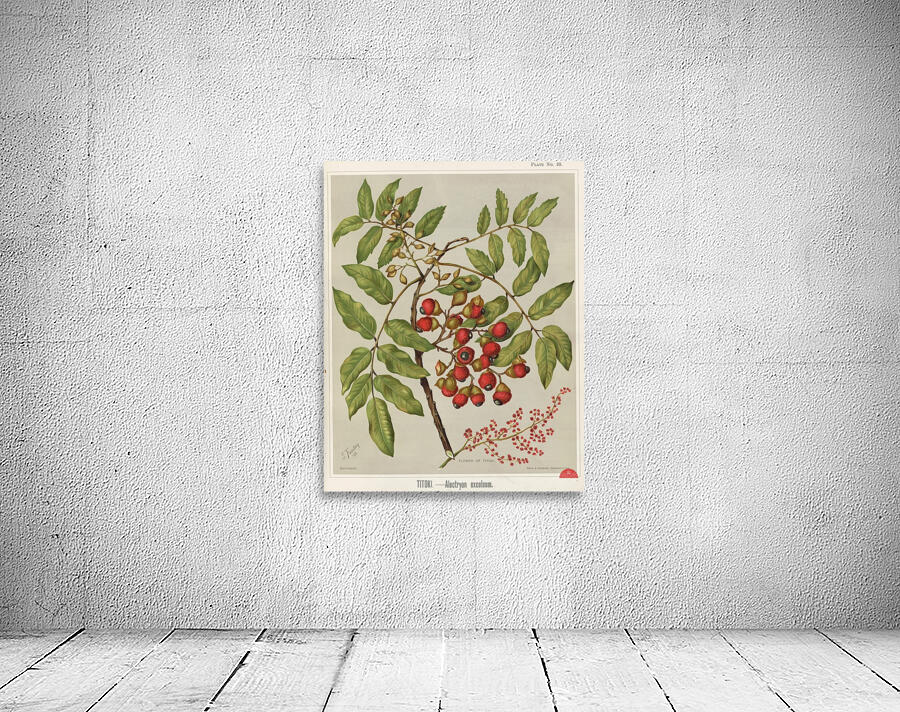 Sarah Featon 034 Wall Preview