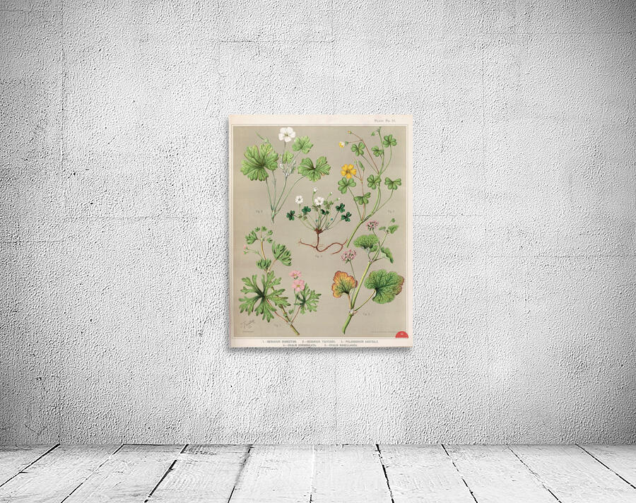 Sarah Featon 004 Wall Preview