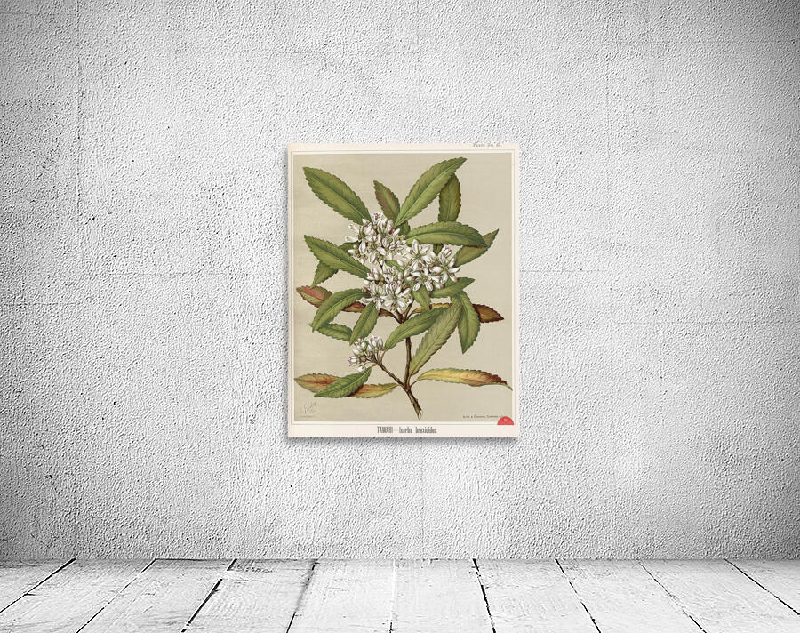 Sarah Featon 031 Wall Preview