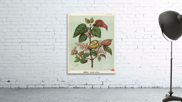 Sarah Featon 025 Wall Preview