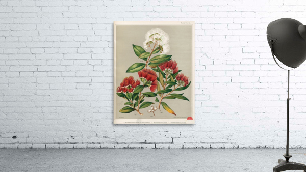 Sarah Featon 005 Wall Preview