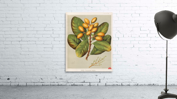 Sarah Featon 020 Wall Preview