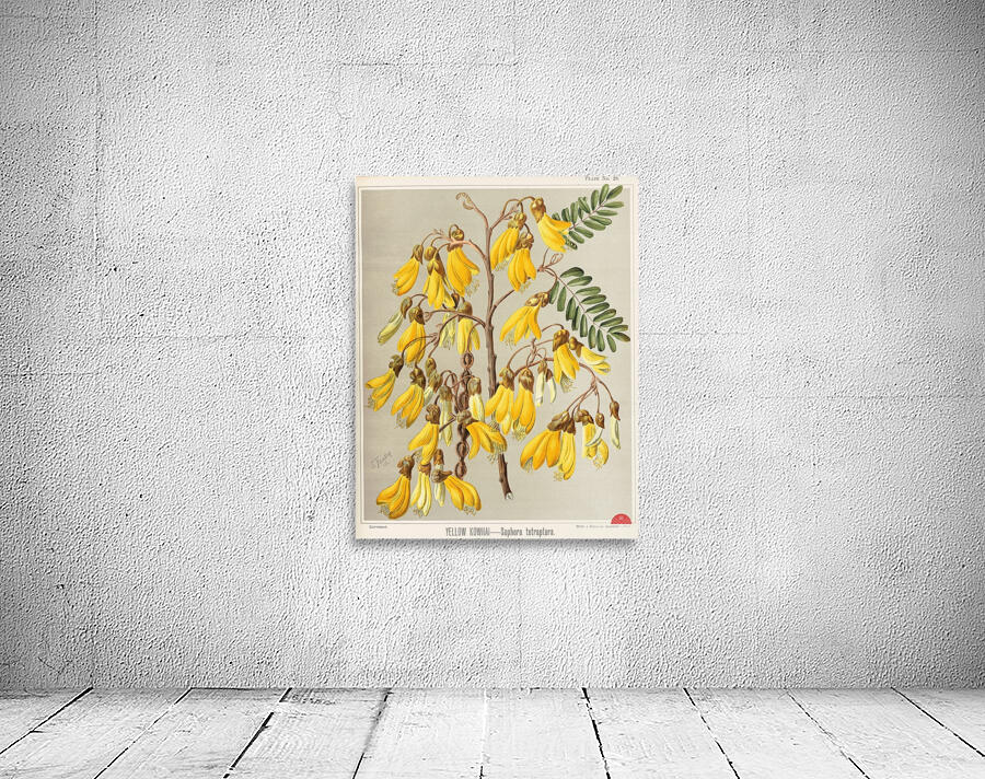 Sarah Featon 036 Wall Preview